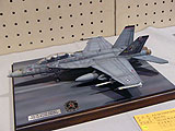 F/A-18D SUPER HORNET