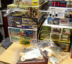 ANgnZK 1/72 801TTS